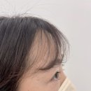 주주브로우