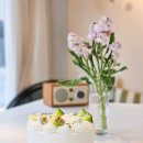 청두곶15길 11 | 사당역 케이크 당일 예약 가능한 디저트바이제이