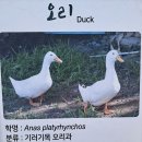 인천대공원(어린이동물원) 이미지