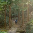 천마산10리길 이미지