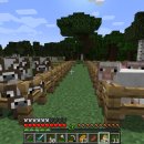 동균농장 이미지