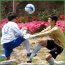 부산진중학교 이미지