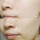 세니떼화장품 - 창원시 의창구 읍성로 32 | [세니떼 폴리네시안 인텐시브 크림 후기] 촉촉함을 가득 머금은 탱탱한 모찌피부 만들기! (모찌크림...