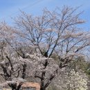 아이그린 안경원 이미지