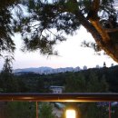 드까르멜릿 이미지