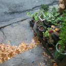 정희네 가게 이미지