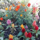 유탕축산 이미지