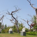 죽산상사 네이버블로그