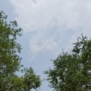 하모니민박 이미지