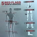 비비파라다이스짐 이미지