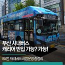 캐리버스 | 부산 시내버스 캐리어 반입 가능?｜85번 캐리버스 시범운영 총정리