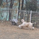 아이페티앙 이미지