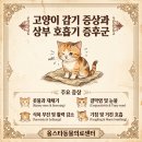 올스타동물의료센터 | 고양이 감기 증상과 상부 호흡기 증후군에 대하여(올스타동물의료센터)