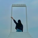 ㈜천국특수 | 여수 놀거리 유월드 루지테마파크 테디베어뮤지엄 다이노밸리 후기