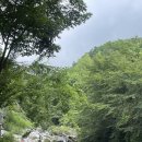 들물 관광 농원 이미지