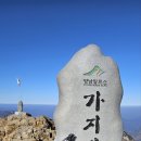 가지산약국 네이버블로그