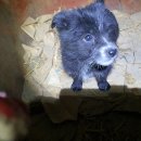 쌍책면사무소 이미지