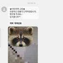 텐쿡 | ♣ 미미마켓 고양점 :: 과일창고탐스와 텐쿡 등 장보기대행서비스 이용후기