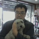 더독동물병원 이미지