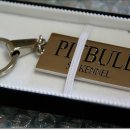 502 KENNEL 이미지