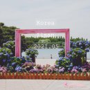 한국조류사 | 경기도 일산 가볼만한곳 일산호수공원 피크닉과 수국(시민참여정원)