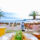 동산애견 이미지