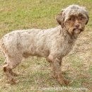 피터팬PC방 이미지