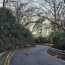 죽도봉 주차장 내 이미지