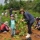 정안농장 이미지
