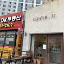 클로버. (clover)37 네이버블로그