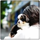 켄넬퀸비 이미지