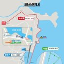 2025 정남진 장흥 철인 3종 대회 후기