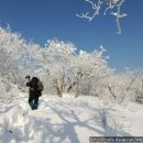 서정 이미지