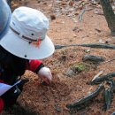 용정공원(상) 이미지