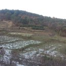 대봉농장 이미지