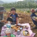 새참손칼국수 이미지