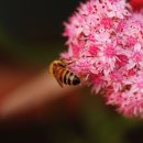 둥근공원 이미지