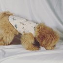 디어뚜뚜 이미지