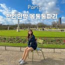 특이네민박 | 파리 한인민박 몽통통 파리 가성비숙소 추천 후기