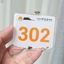 성산의 아침 | 가성비 제주도 성산일출봉 숙소 추천 아침노을펜션 내돈내산 후기