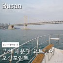 부산요트투어 추천, 해운대요트 오션포인트 후기