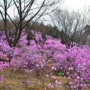 부천 종합운동장역(2번 출구) 이미지