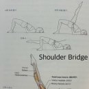 오목교하부(중심부쪽 교각 아래) | 도룡동 요가 필라테스 - 어깨 교각 ( Shoulder Bridge )
