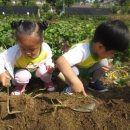 상일농장 이미지