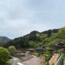 백산한우명가 | [오늘은 뭐 먹지?]해인사 여행 후 백산한우명가에서 조촐하게 저녁해결하기(내돈내산)