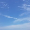 정동진제이 이미지