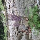 진동 마을회관 이미지