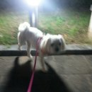 혜성동물병원 이미지