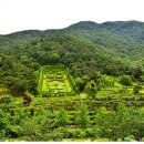 고산자연휴양림 이미지