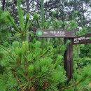 햇내로98번길 이미지